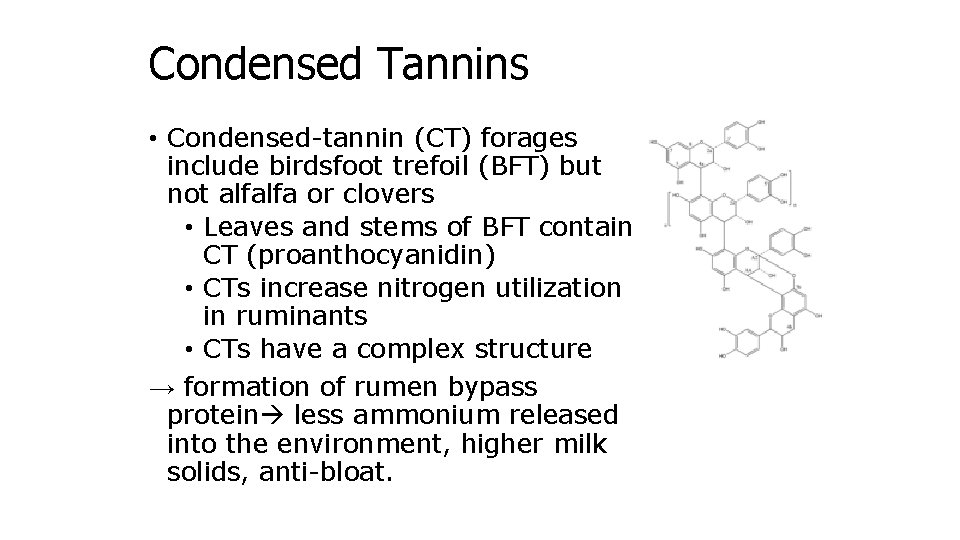 Condensed Tannins • Condensed-tannin (CT) forages include birdsfoot trefoil (BFT) but not alfalfa or