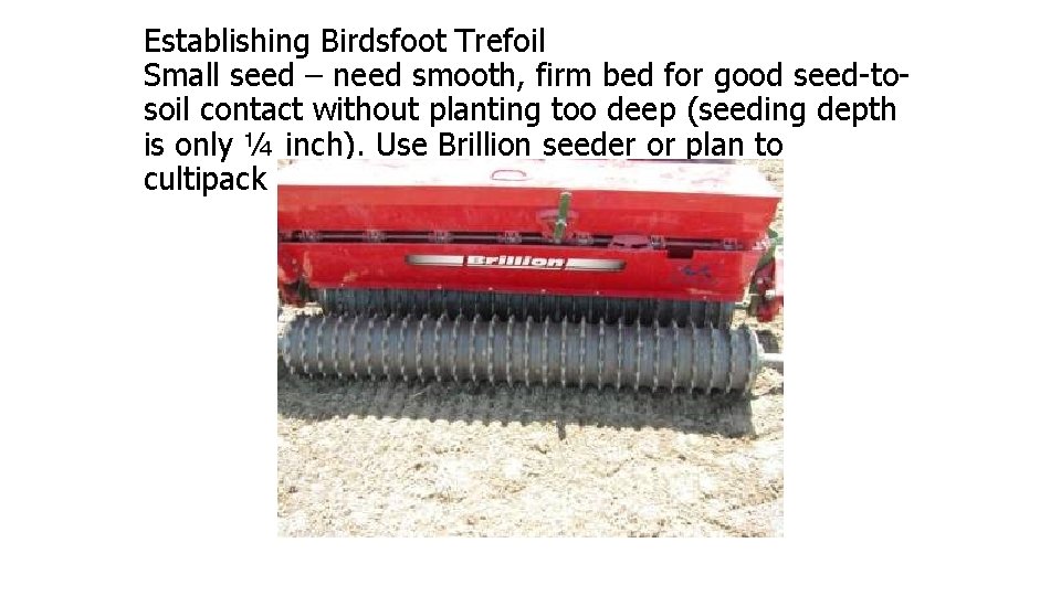 Establishing Birdsfoot Trefoil Small seed – need smooth, firm bed for good seed-tosoil contact