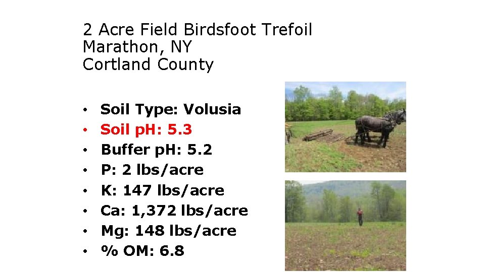 2 Acre Field Birdsfoot Trefoil Marathon, NY Cortland County • • Soil Type: Volusia