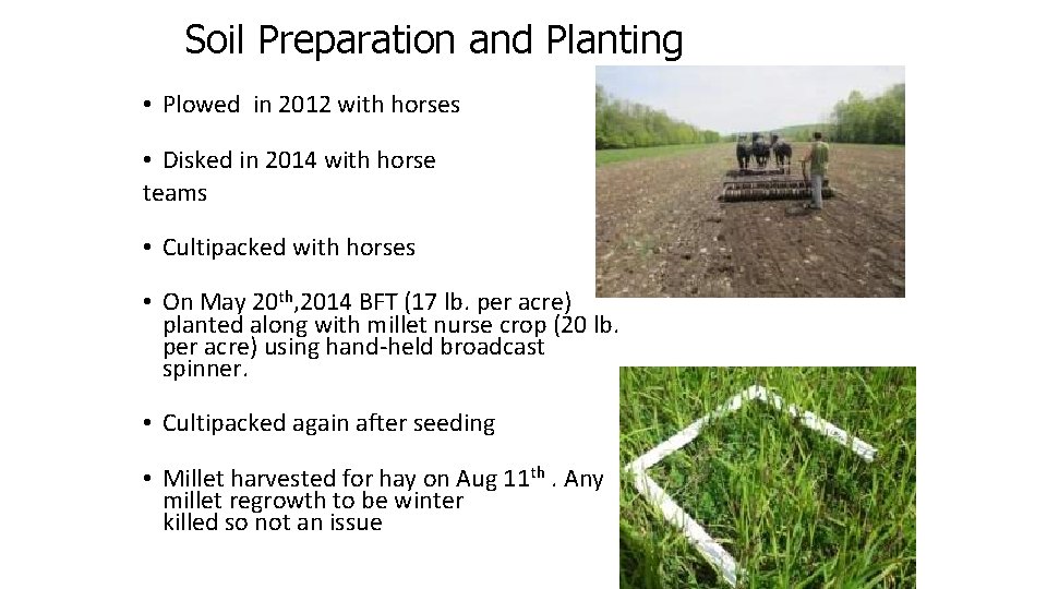 Soil Preparation and Planting • Plowed in 2012 with horses • Disked in 2014