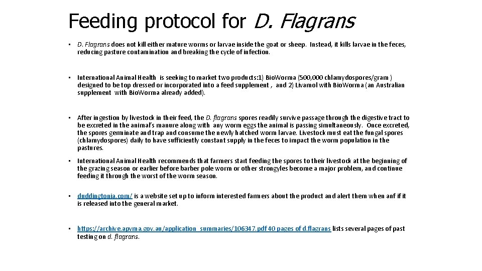 Feeding protocol for D. Flagrans • D. Flagrans does not kill either mature worms