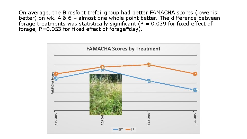 On average, the Birdsfoot trefoil group had better FAMACHA scores (lower is better) on