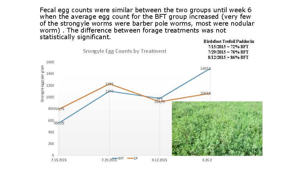 Fecal egg counts were similar between the two groups until week 6 when the
