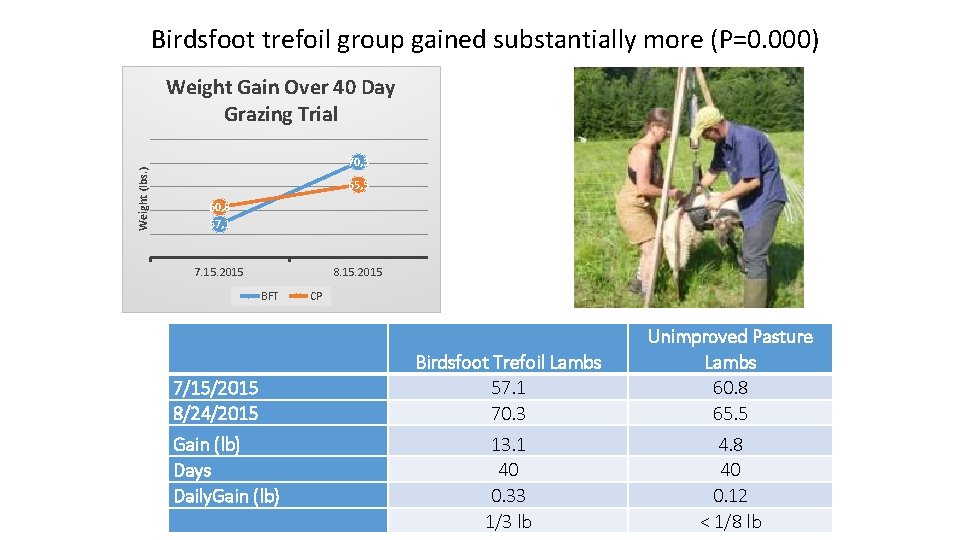 Birdsfoot trefoil group gained substantially more (P=0. 000) Weight (lbs. ) Weight Gain Over
