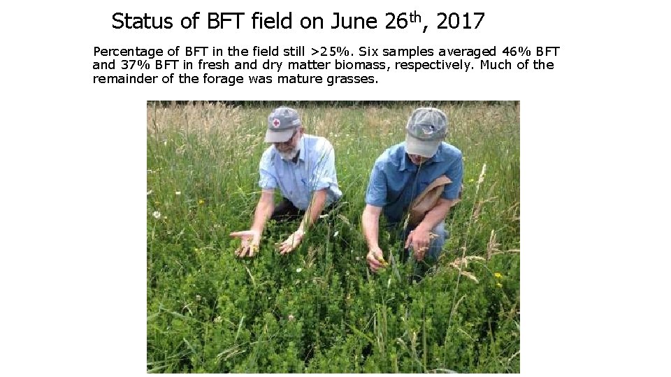 Status of BFT field on June 26 th, 2017 Percentage of BFT in the