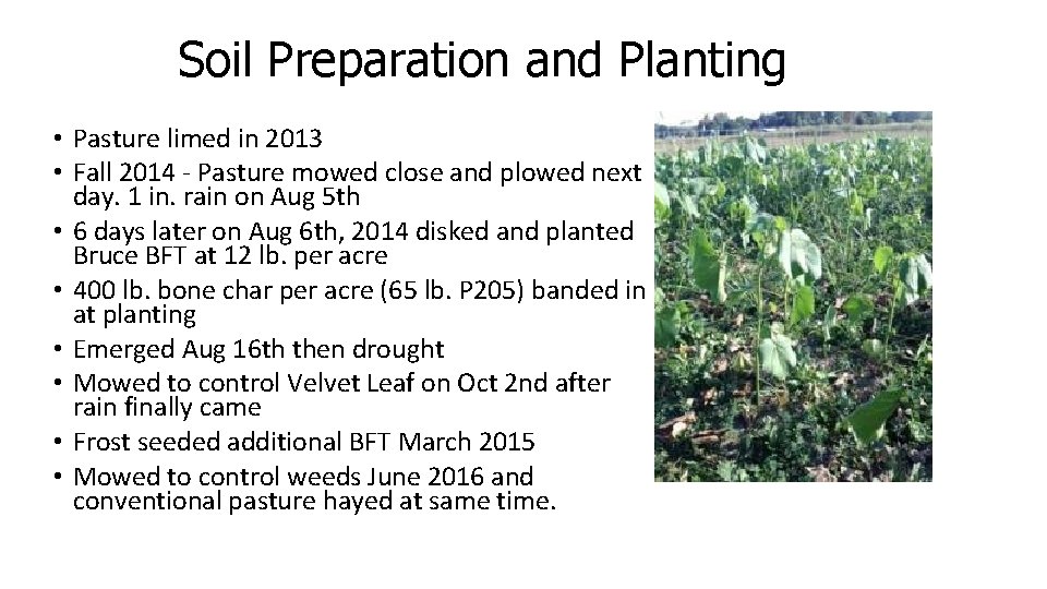 Soil Preparation and Planting • Pasture limed in 2013 • Fall 2014 - Pasture