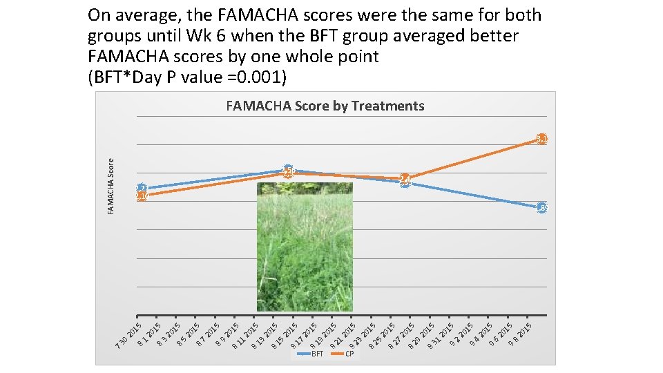 On average, the FAMACHA scores were the same for both groups until Wk 6