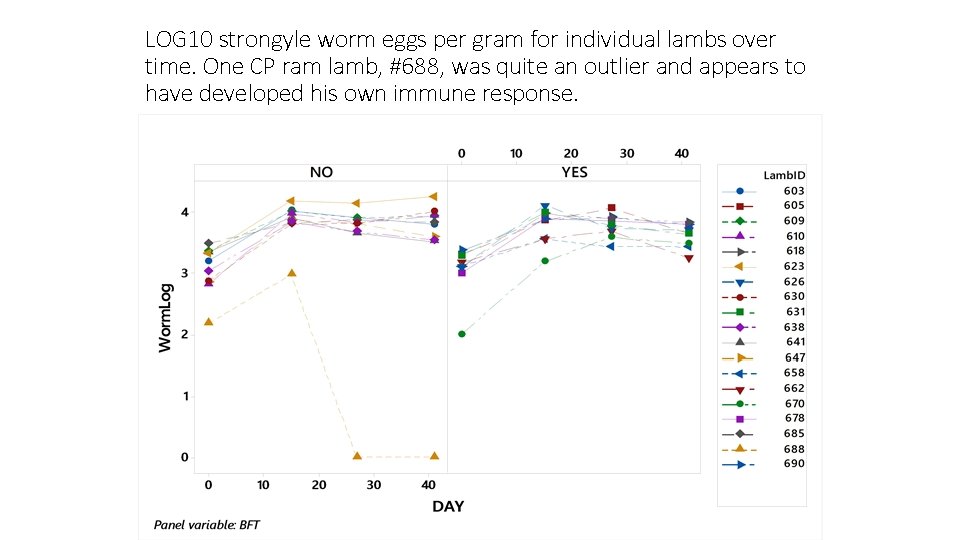 LOG 10 strongyle worm eggs per gram for individual lambs over time. One CP