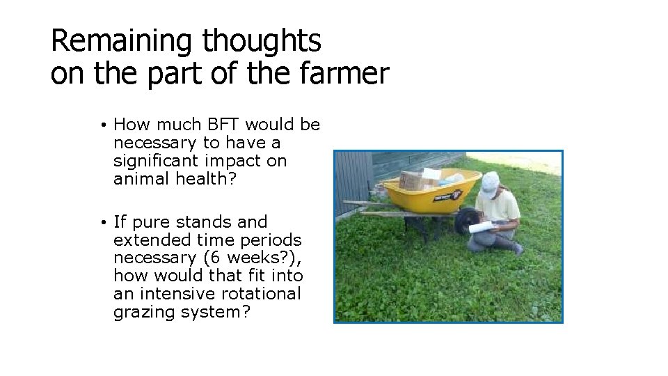 Remaining thoughts on the part of the farmer • How much BFT would be