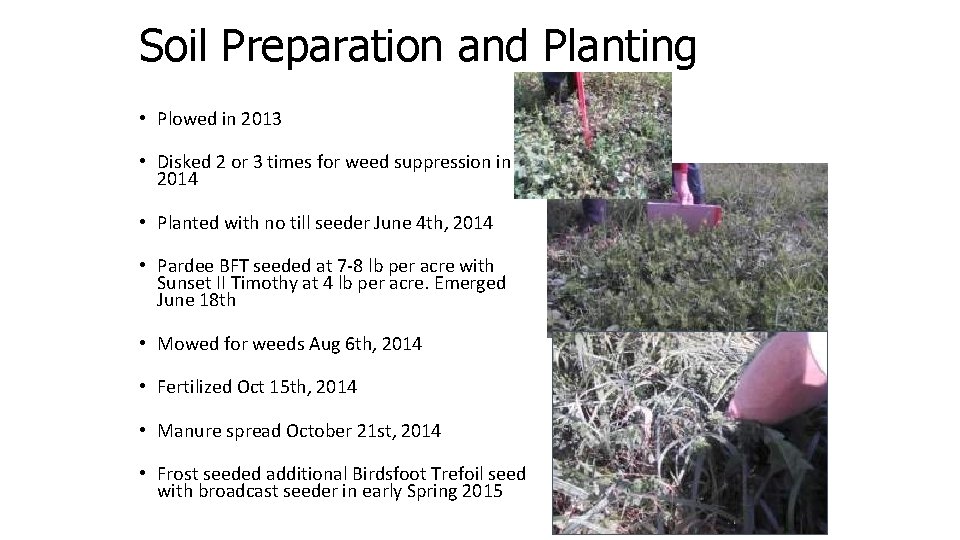 Soil Preparation and Planting • Plowed in 2013 • Disked 2 or 3 times