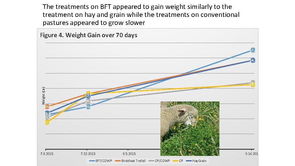 The treatments on BFT appeared to gain weight similarly to the treatment on hay