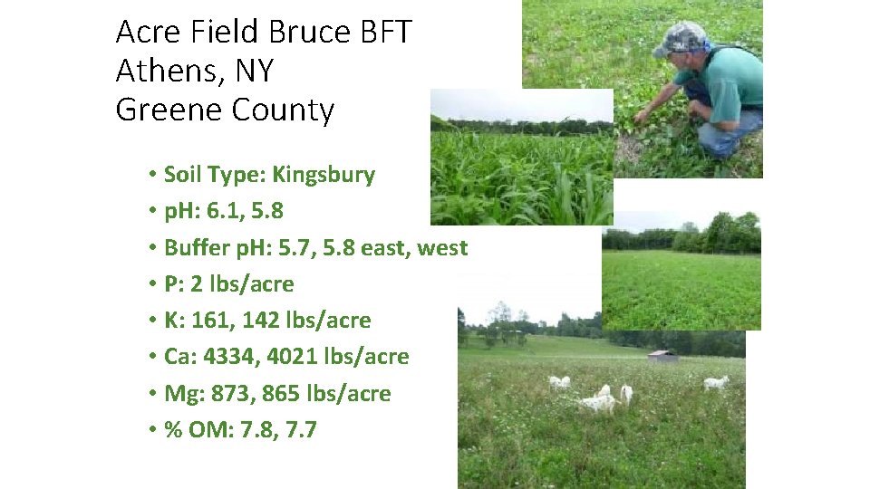 Acre Field Bruce BFT Athens, NY Greene County • Soil Type: Kingsbury • p.