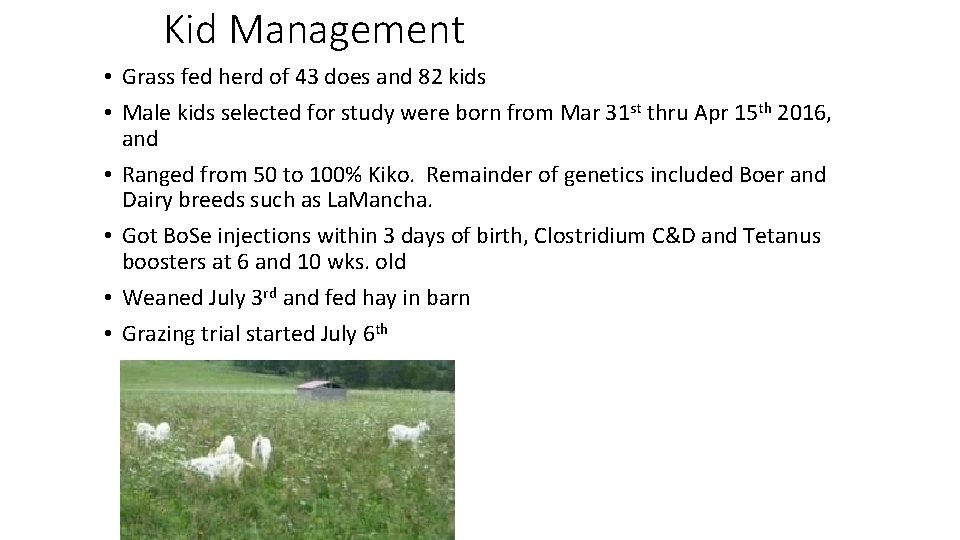 Kid Management • Grass fed herd of 43 does and 82 kids • Male