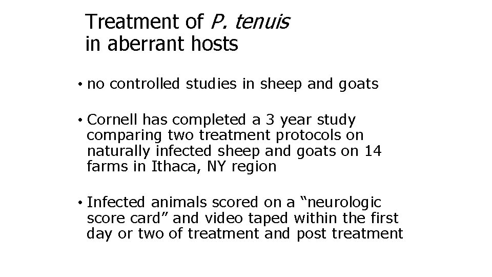 Treatment of P. tenuis in aberrant hosts • no controlled studies in sheep and