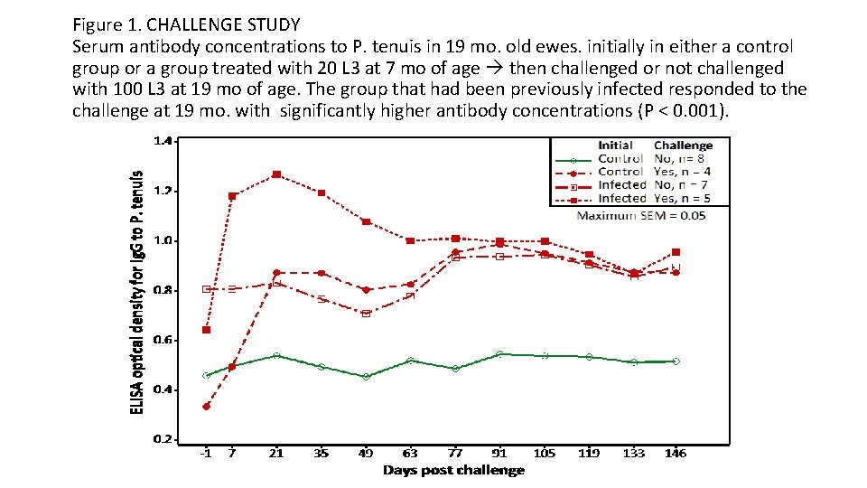Figure 1. CHALLENGE STUDY Serum antibody concentrations to P. tenuis in 19 mo. old