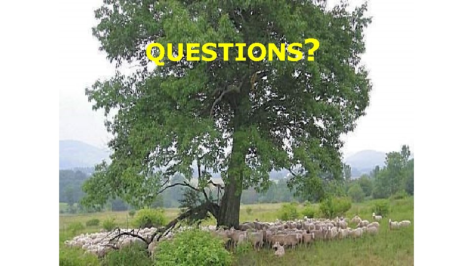QUESTIONS? 