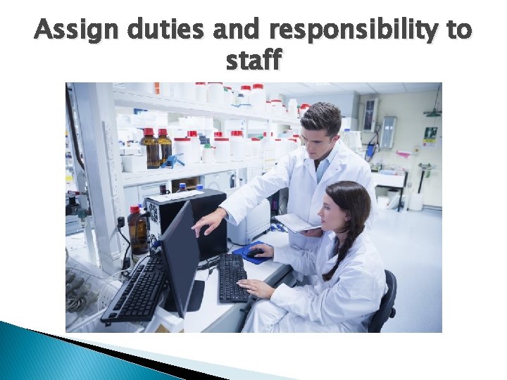 Assign duties and responsibility to staff 