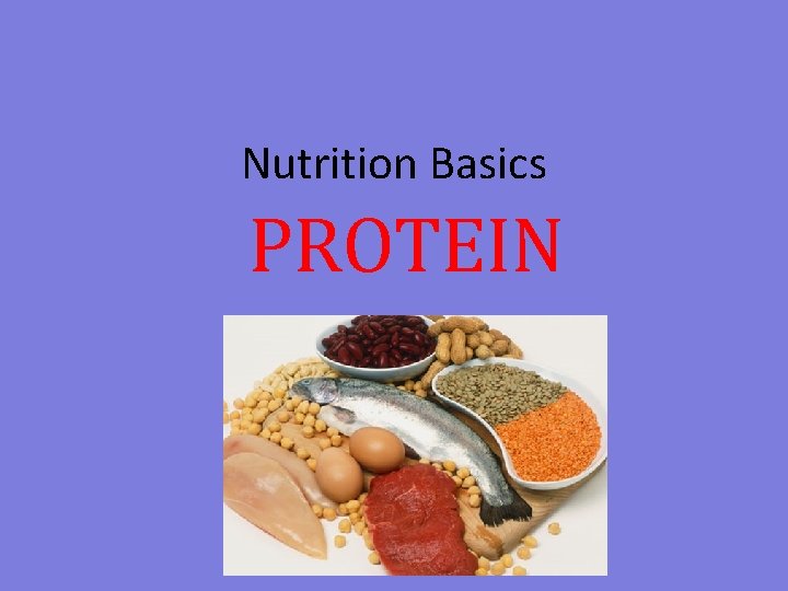 Nutrition Basics PROTEIN 