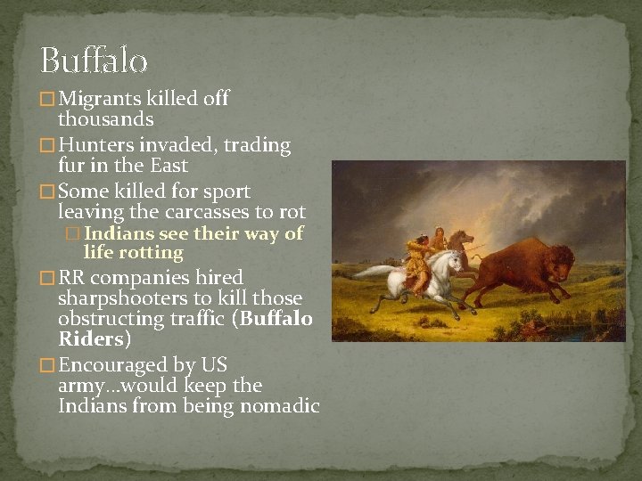 Buffalo � Migrants killed off thousands � Hunters invaded, trading fur in the East