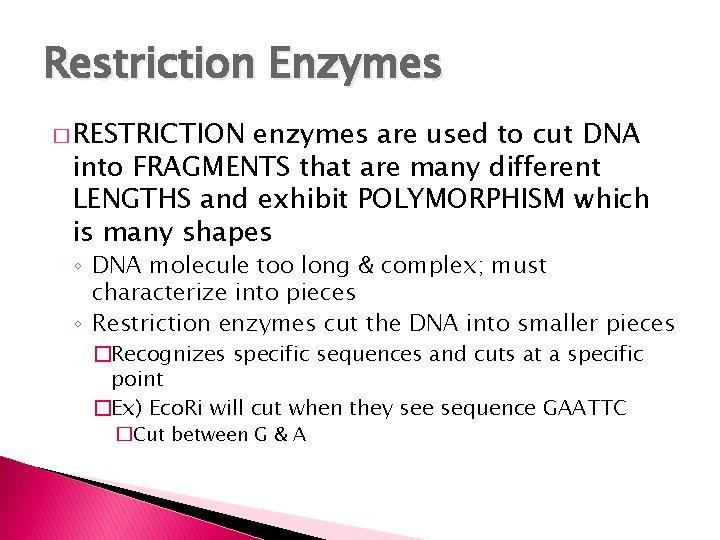 Restriction Enzymes � RESTRICTION enzymes are used to cut DNA into FRAGMENTS that are