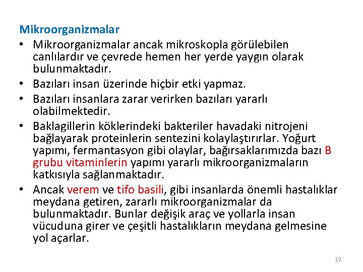 Mikroorganizmalar • Mikroorganizmalar ancak mikroskopla görülebilen canlılardır ve çevrede hemen her yerde yaygın olarak