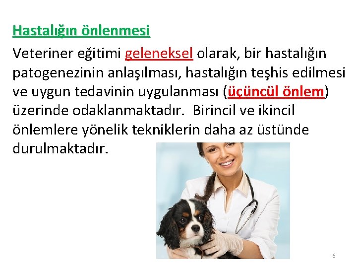 Hastalığın önlenmesi Veteriner eğitimi geleneksel olarak, bir hastalığın patogenezinin anlaşılması, hastalığın teşhis edilmesi ve