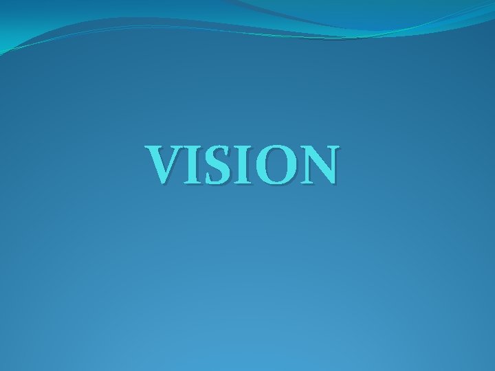 VISION 