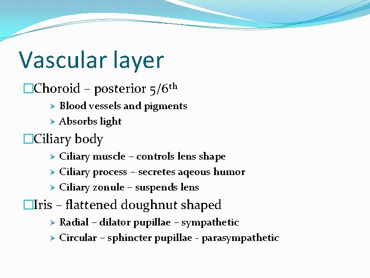 Vascular layer �Choroid – posterior 5/6 th Ø Ø Blood vessels and pigments Absorbs
