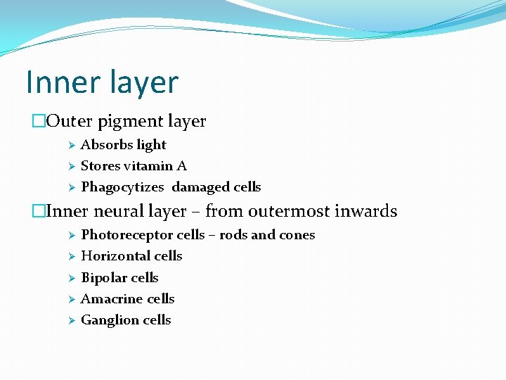 Inner layer �Outer pigment layer Ø Ø Ø Absorbs light Stores vitamin A Phagocytizes
