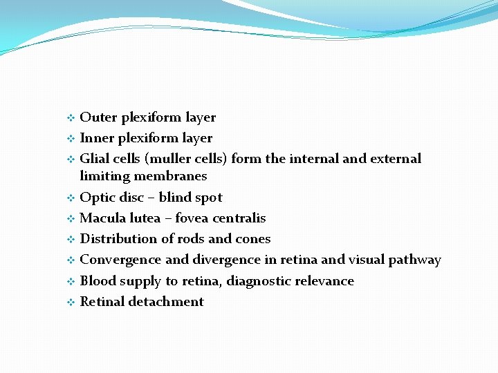 Outer plexiform layer v Inner plexiform layer v Glial cells (muller cells) form the