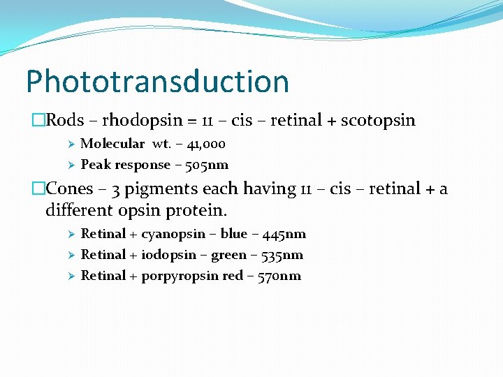 Phototransduction �Rods – rhodopsin = 11 – cis – retinal + scotopsin Ø Ø
