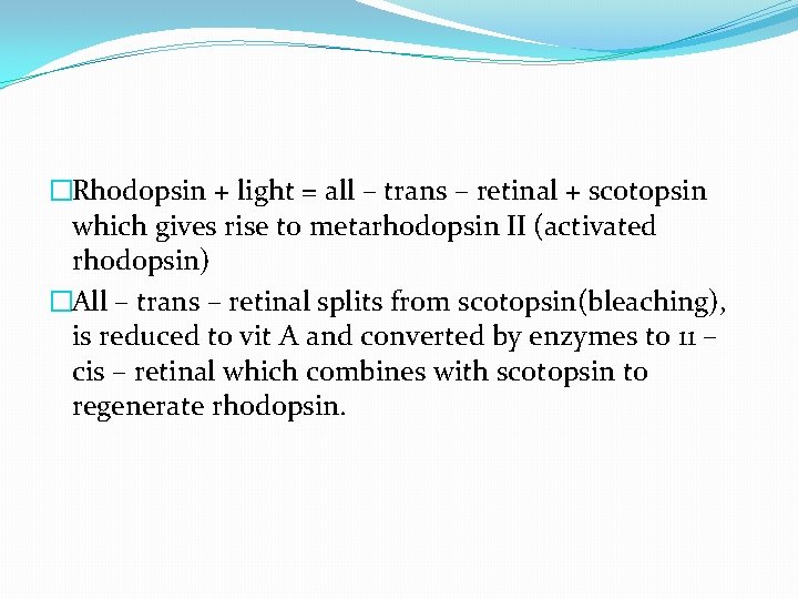 �Rhodopsin + light = all – trans – retinal + scotopsin which gives rise