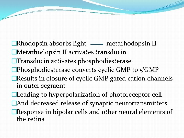 �Rhodopsin absorbs light metarhodopsin II �Metarhodopsin II activates transducin �Transducin activates phosphodiesterase �Phosphodiesterase converts