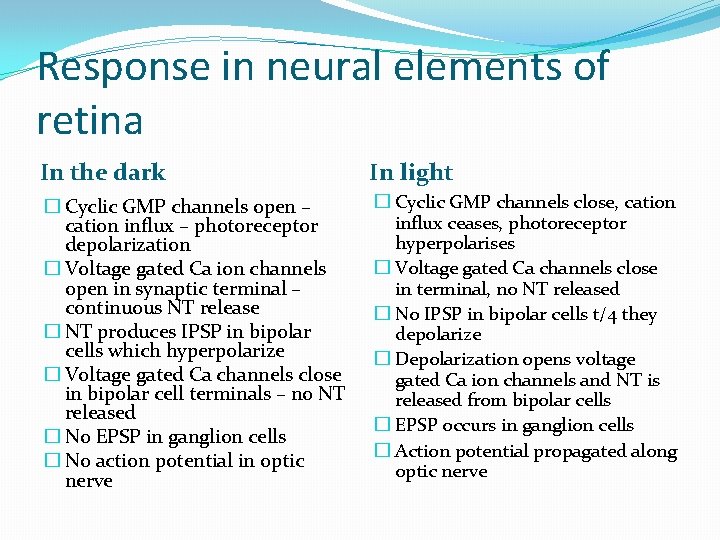 Response in neural elements of retina In the dark In light � Cyclic GMP