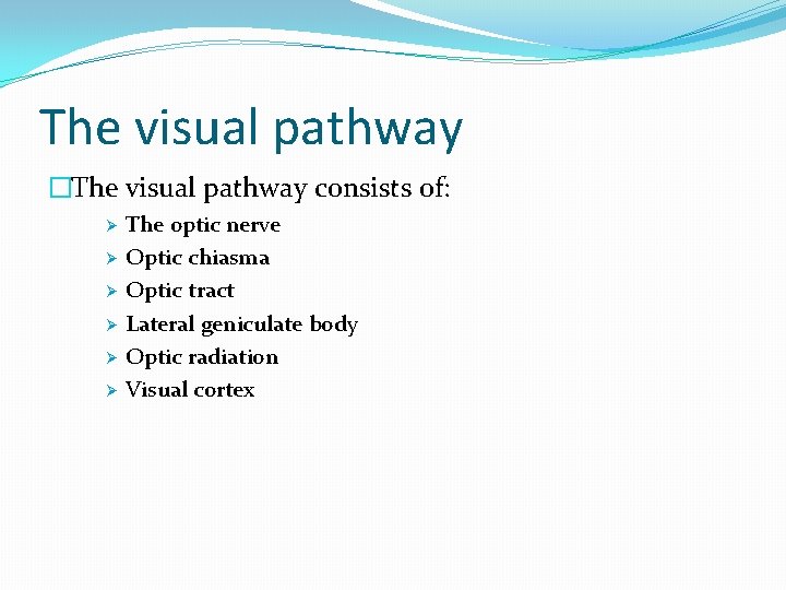 The visual pathway �The visual pathway consists of: Ø Ø Ø The optic nerve