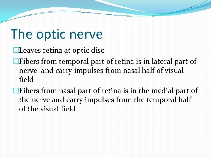 The optic nerve �Leaves retina at optic disc �Fibers from temporal part of retina