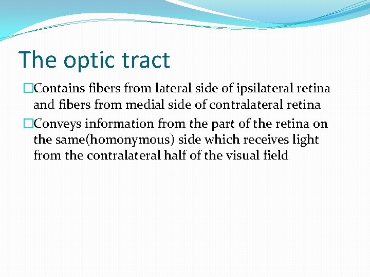 The optic tract �Contains fibers from lateral side of ipsilateral retina and fibers from