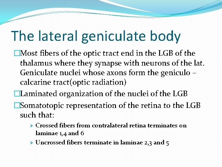 The lateral geniculate body �Most fibers of the optic tract end in the LGB