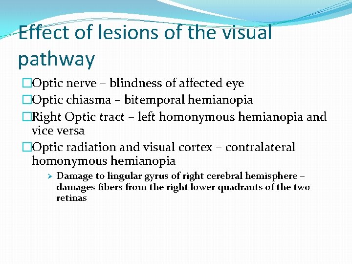 Effect of lesions of the visual pathway �Optic nerve – blindness of affected eye