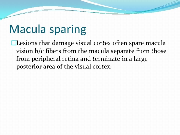 Macula sparing �Lesions that damage visual cortex often spare macula vision b/c fibers from