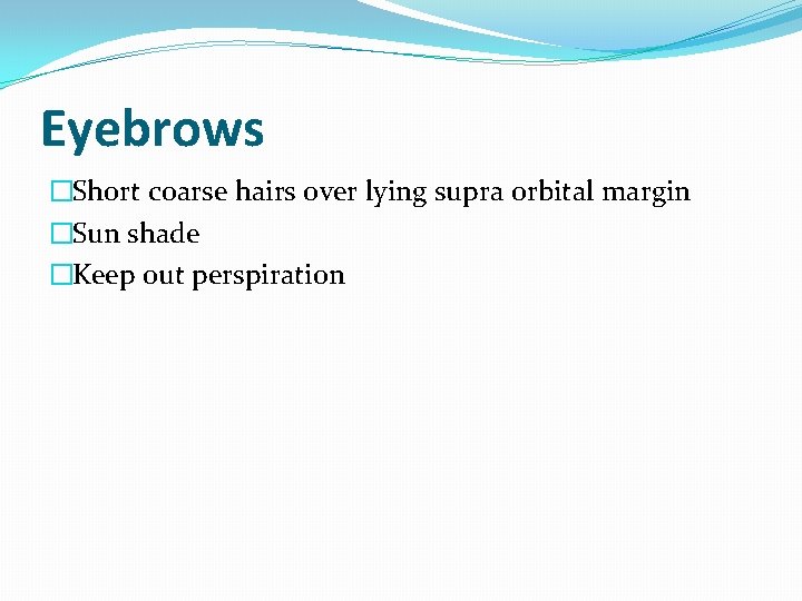 Eyebrows �Short coarse hairs over lying supra orbital margin �Sun shade �Keep out perspiration