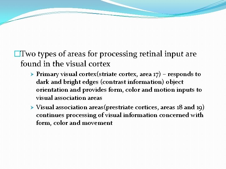 �Two types of areas for processing retinal input are found in the visual cortex