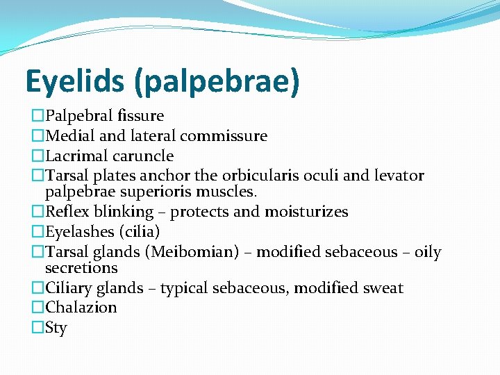 Eyelids (palpebrae) �Palpebral fissure �Medial and lateral commissure �Lacrimal caruncle �Tarsal plates anchor the