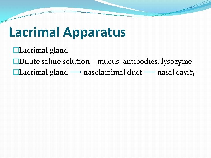 Lacrimal Apparatus �Lacrimal gland �Dilute saline solution – mucus, antibodies, lysozyme �Lacrimal gland nasolacrimal
