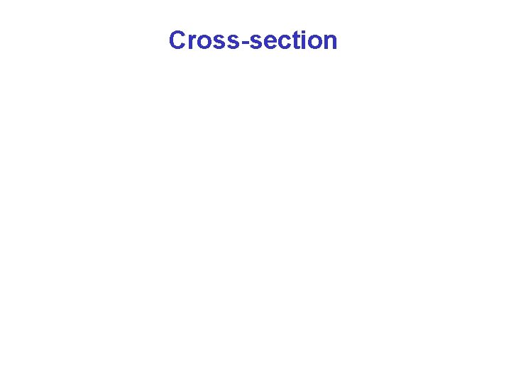 Cross-section 