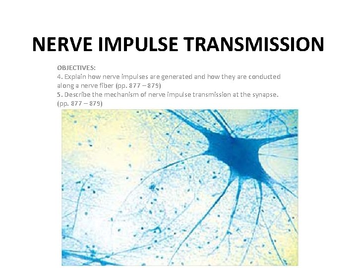 NERVE IMPULSE TRANSMISSION OBJECTIVES: 4. Explain how nerve impulses are generated and how they
