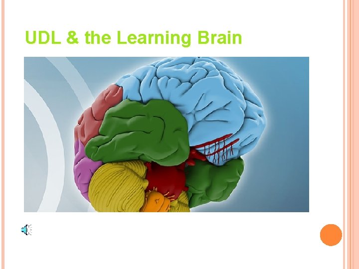 UDL & the Learning Brain 