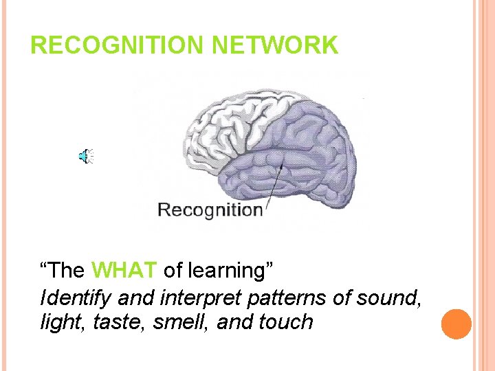 RECOGNITION NETWORK “The WHAT of learning” Identify and interpret patterns of sound, light, taste,