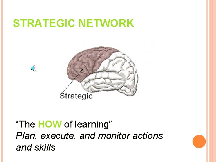 STRATEGIC NETWORK “The HOW of learning” Plan, execute, and monitor actions and skills 