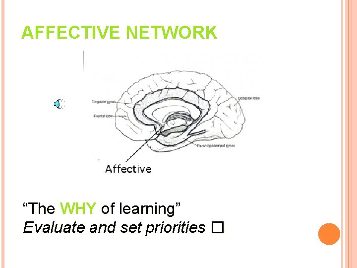 AFFECTIVE NETWORK “The WHY of learning” Evaluate and set priorities � 